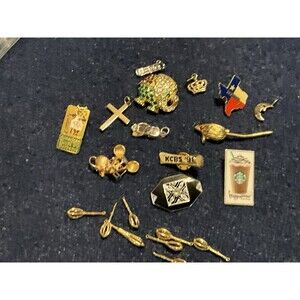 Lot Of Pins And Charms
